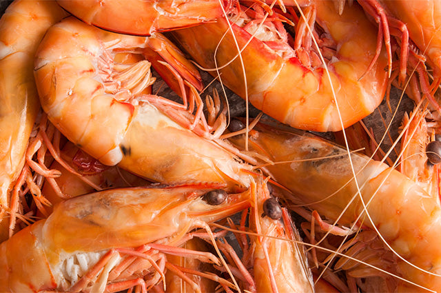 Close-up of a pile of cooked prawns