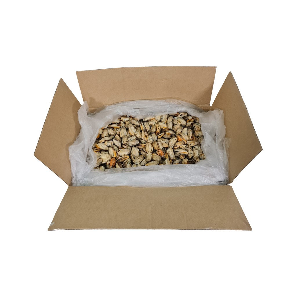 Open cardboard box with mussels on a white background