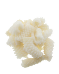 pineapple cut squid no background