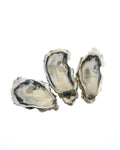 three pacific half shell oysters white background