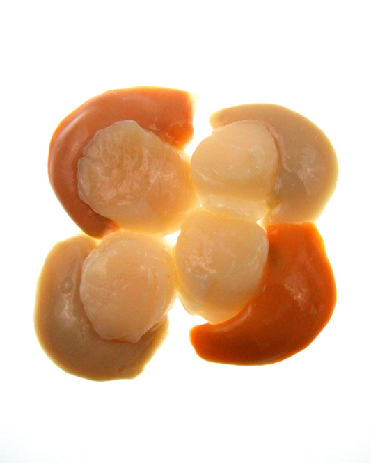 roe on scallops white background