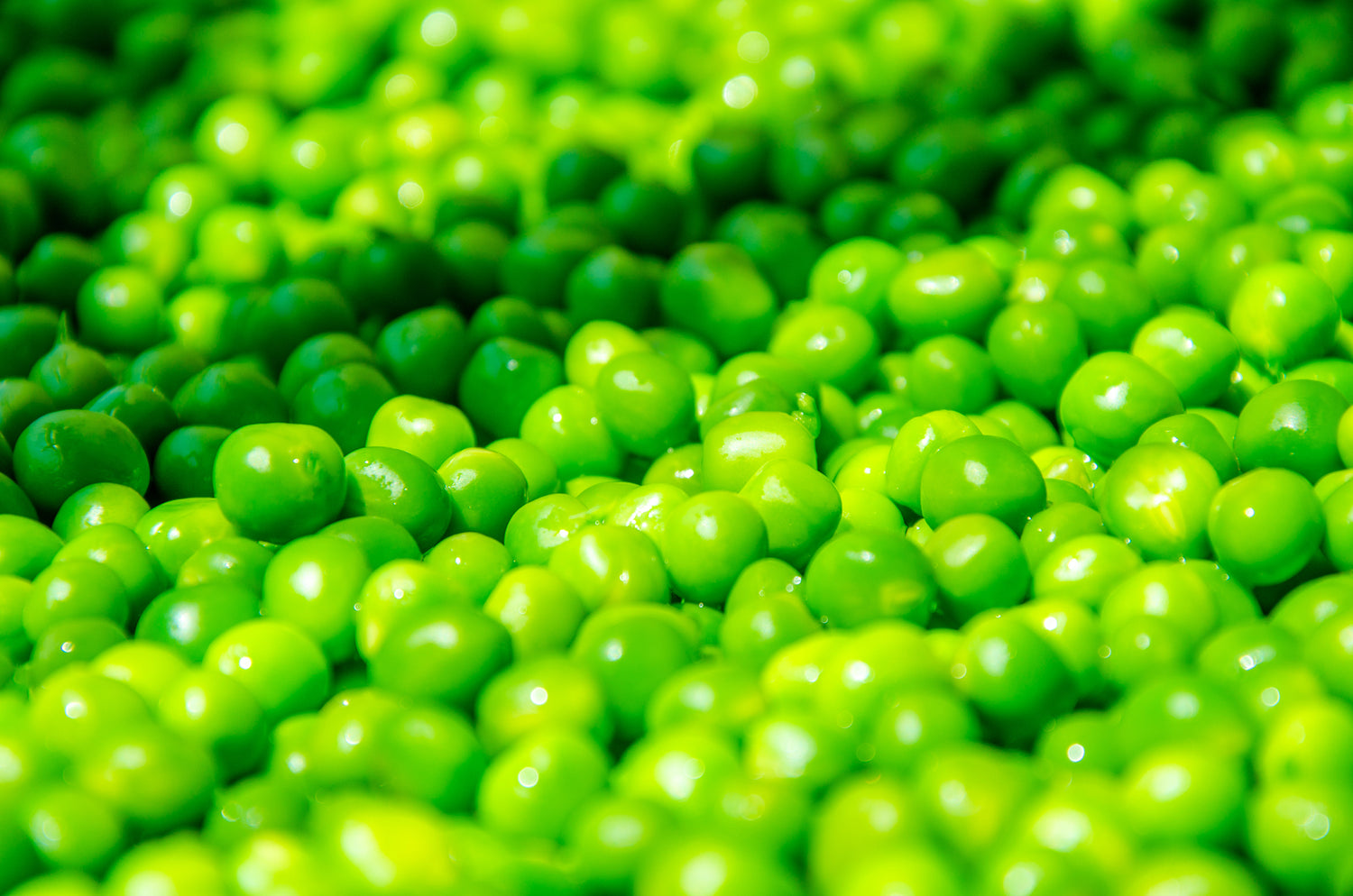 Vegetables