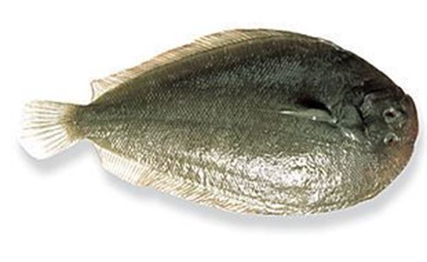 Whole Lemon Sole 'B' 250-325g 10kg