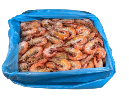 Prawns Cooked Endeavour 5kg Ctn