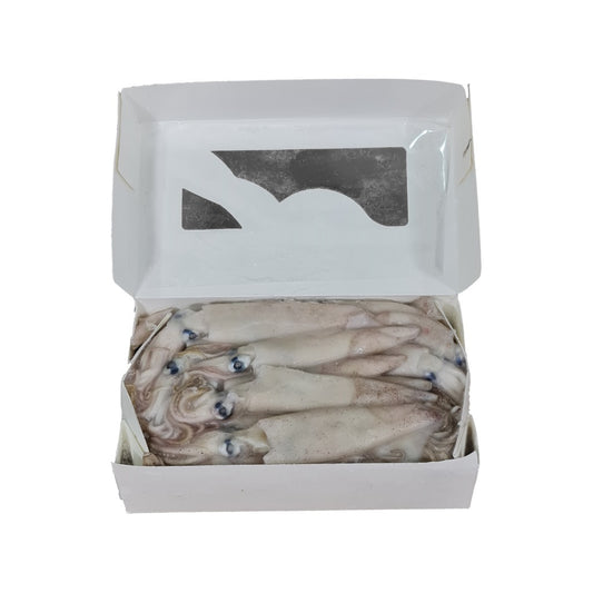 Squid Whole USA 1kg