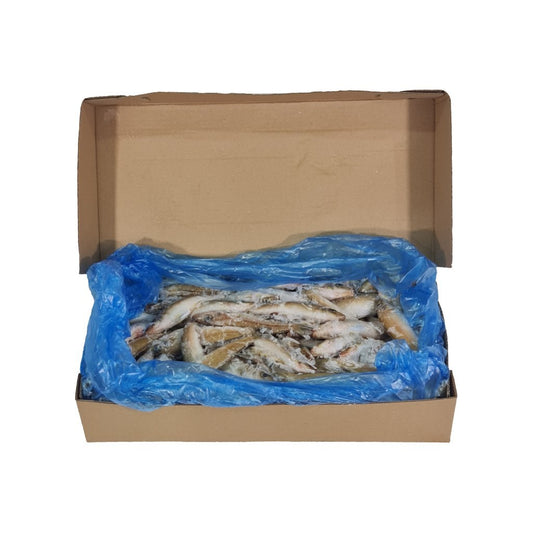 Whole Sillago Whiting 8kg