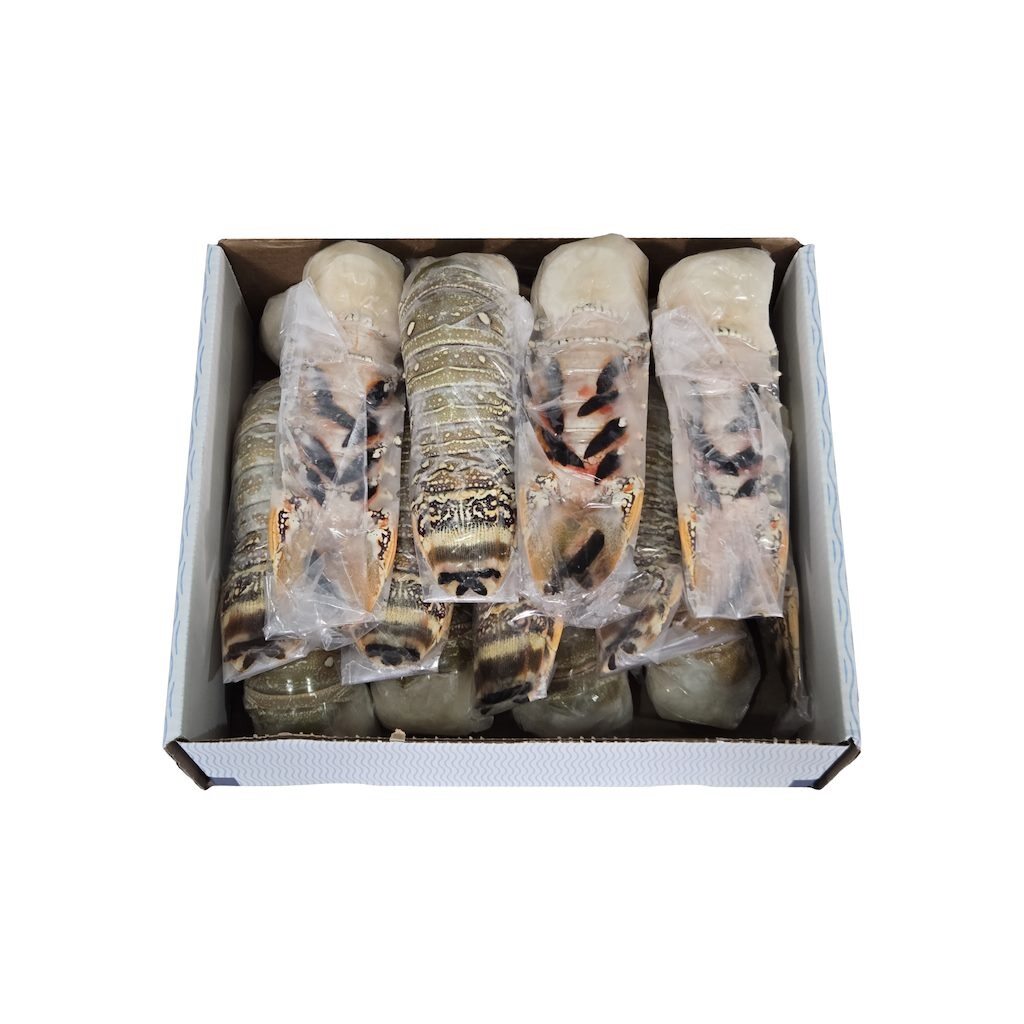Box of wrapped items on a white background
