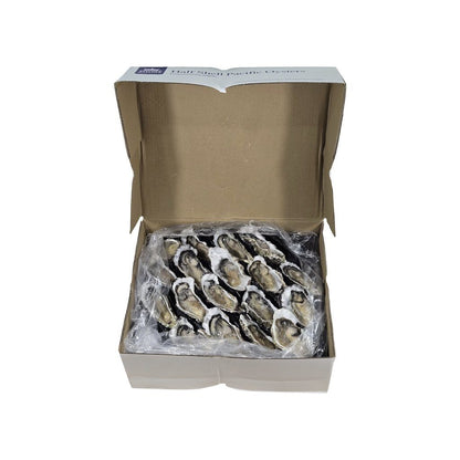 Box of half shell Pacific oysters on a white background