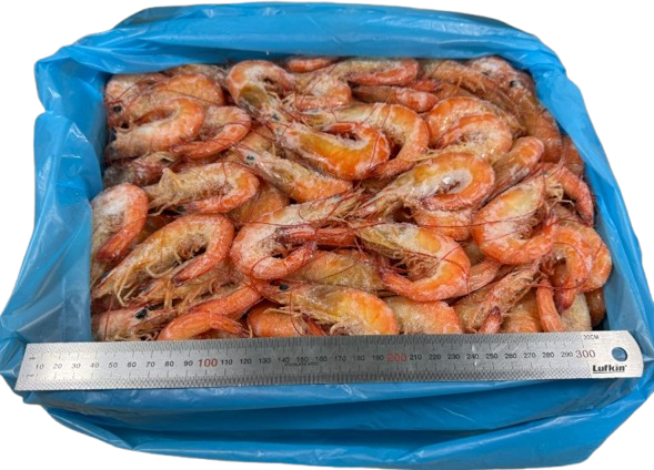 Prawns Cooked Endeavour 5kg Ctn