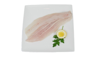 Hoki Fillets Skinless 6.8kg Ctn