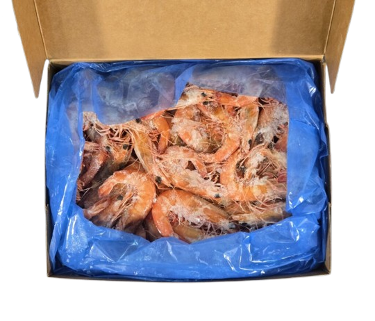 Box with a blue bag containing whole cooked prawns no background