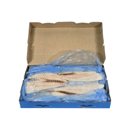 open carton of snapper fillets no backgound