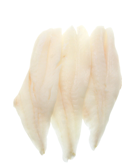 orange roughy fillets no background