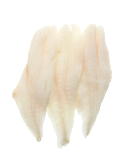 orange roughy fillets no background