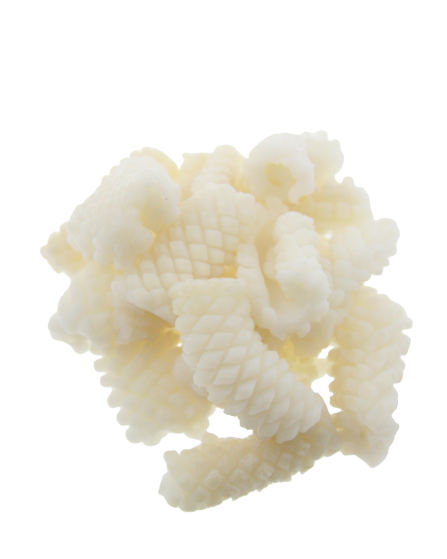 pineapple cut squid no background