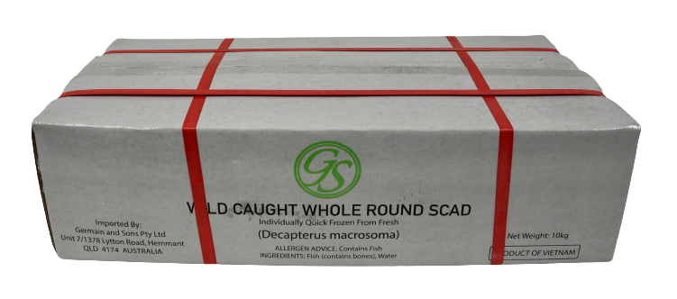 Round Scad Whole 10kg Carton