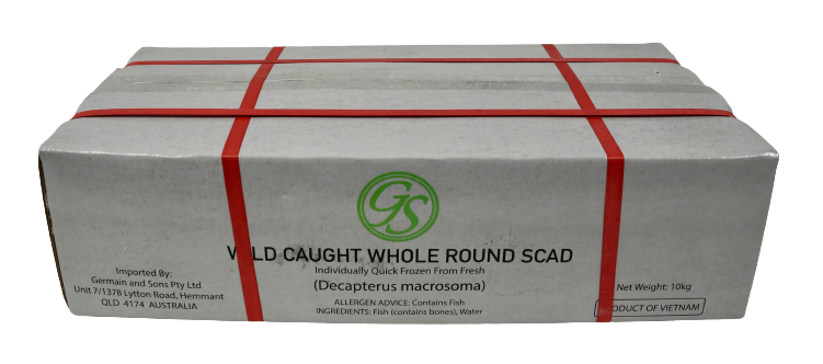  carton of whole round scad, no background