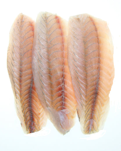 Barramundi fillets with white background