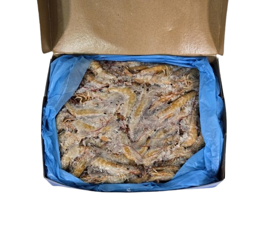 inside green whole cooked prawn no background