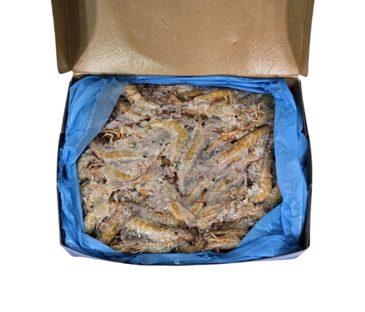 inside green whole cooked prawn no background