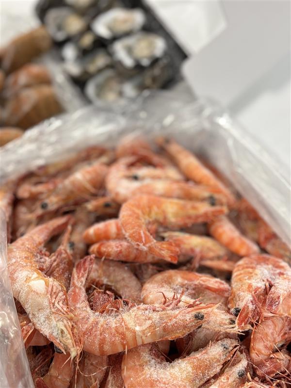 close up of extra large tiger prawns 