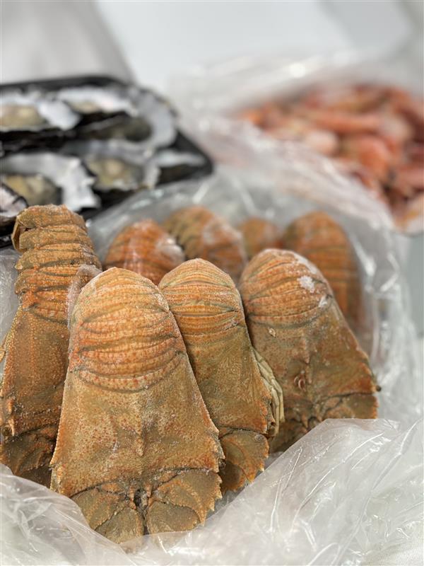 medium moreton bay bugs with oysters and tiger prawns in background