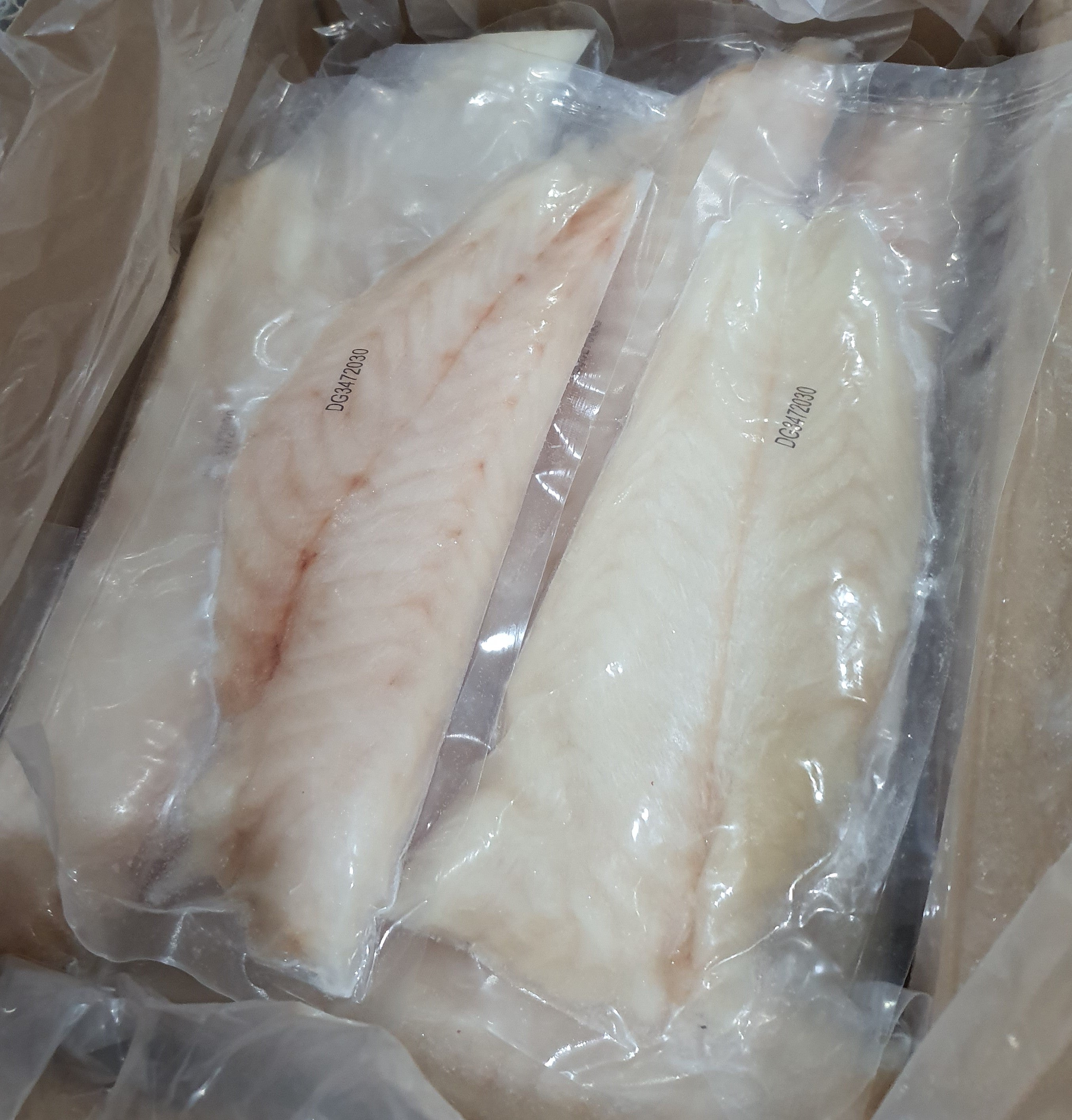 parrot fillets individually vacuum sealed