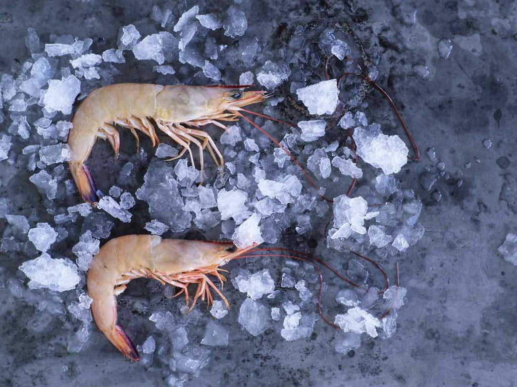 2 endeavour prawns on bed of rocksalt 