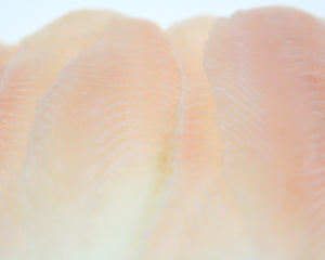 close up of basa fillets