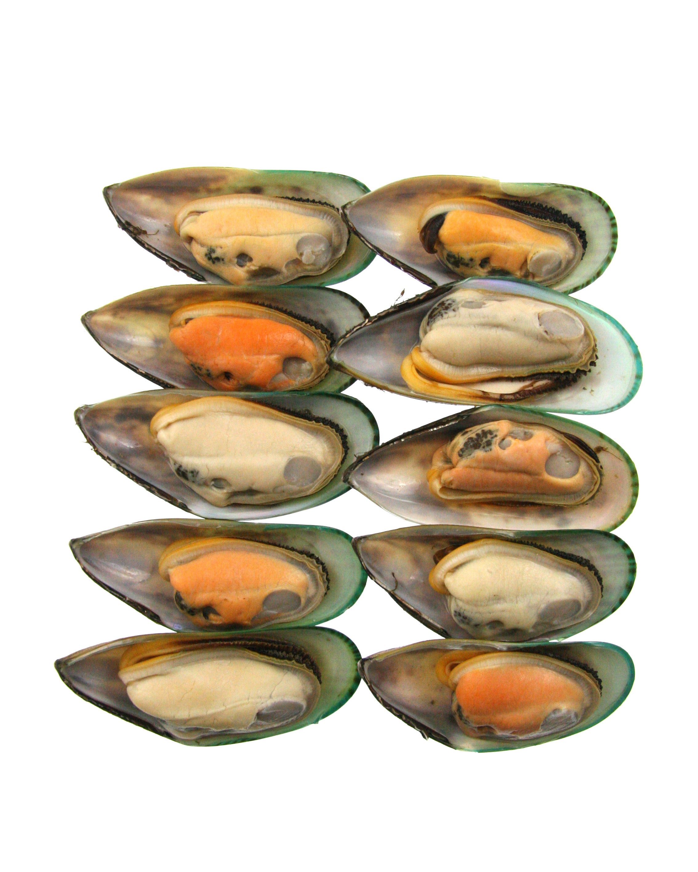 Sharp Musselshell United Fish Co Greenshell™ Halfshell Mussels – Seafood At Home