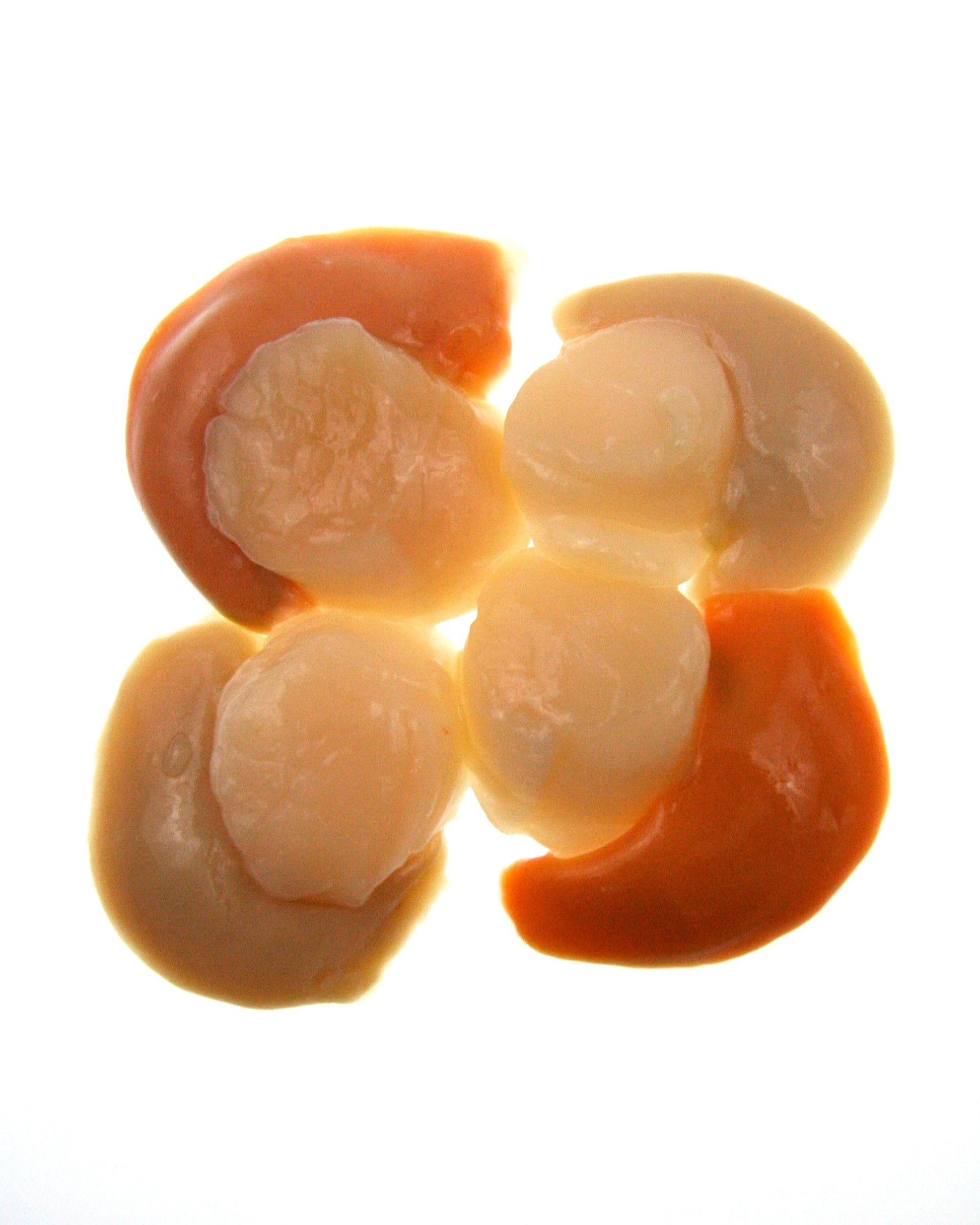roe on scallops white background