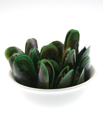 bowl of greenshell whole mussels